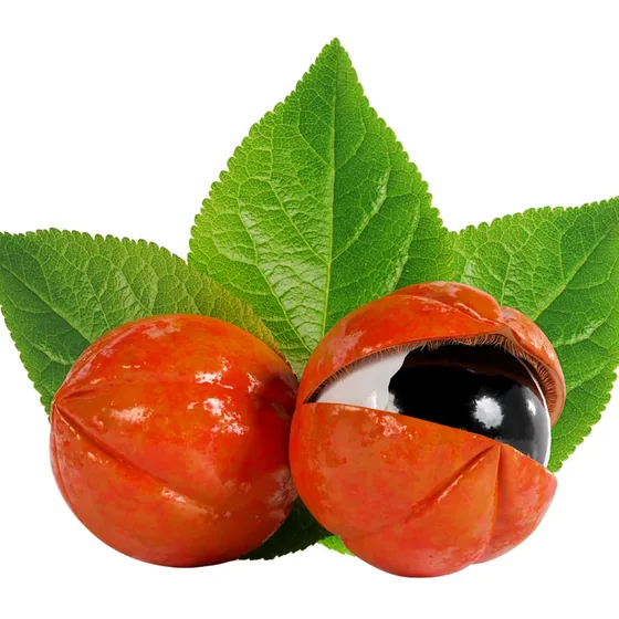 Guarana seed